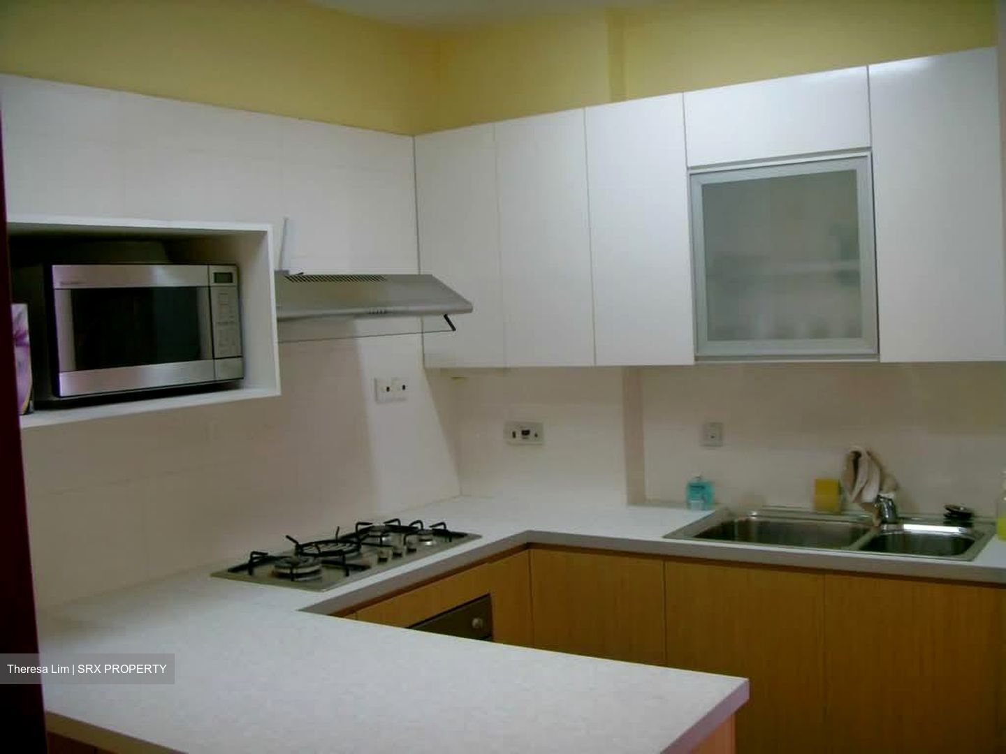 Dover Parkview (D5), Condominium #565252331
